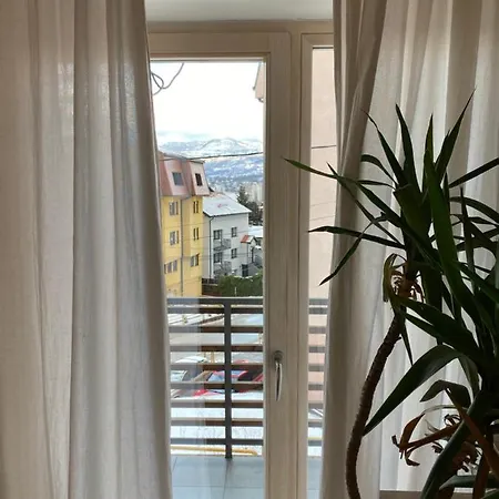 Cozy Apartment